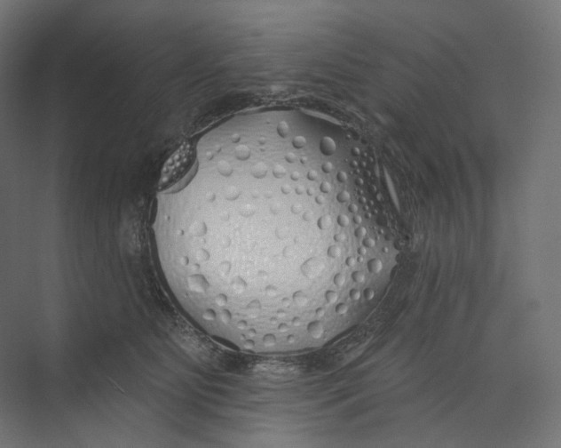 X0000073850515200609071610