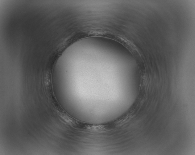 X0000073850517200609071610