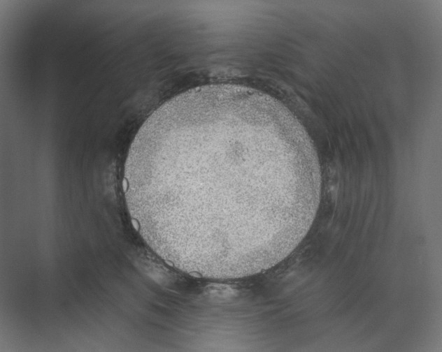 X0000073850519200609071610