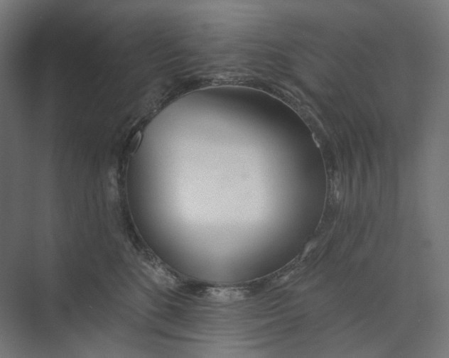 X0000073850520200609071610