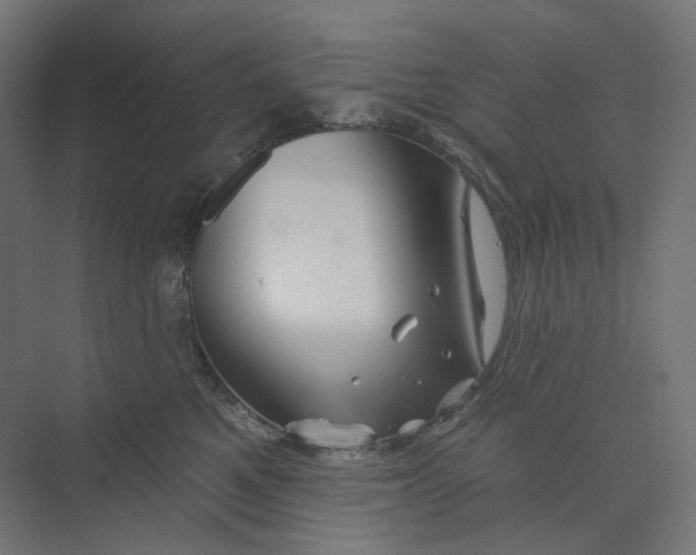 X0000073850521200609071610