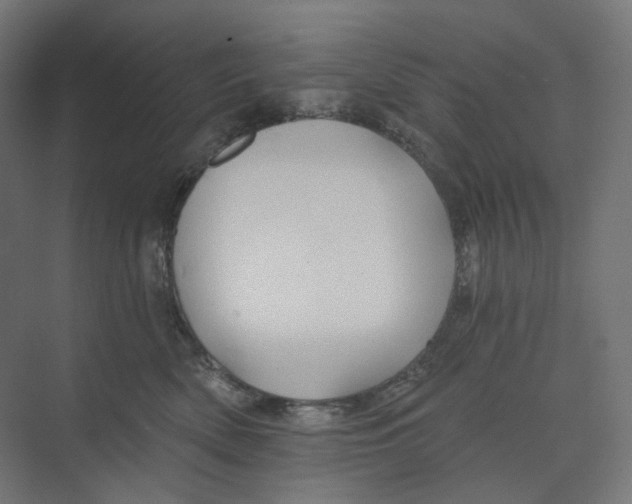 X0000073850522200609071610