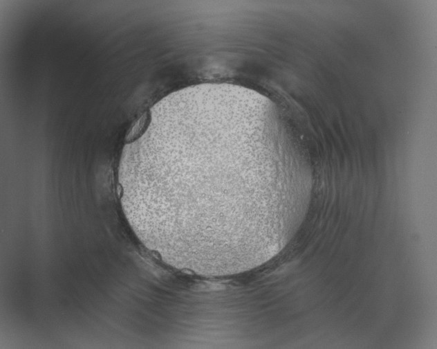 X0000073850523200609071610