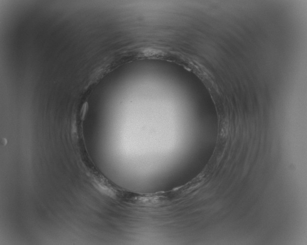 X0000073850524200609071610