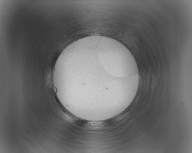 X0000073850526200609071610