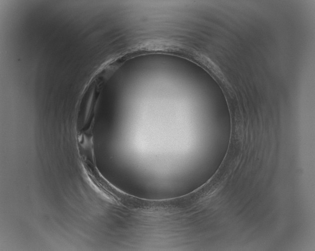 X0000073850530200609071609