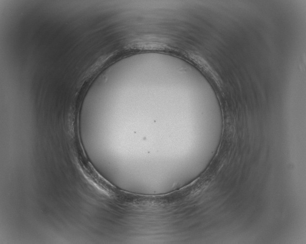 X0000073850533200609071609