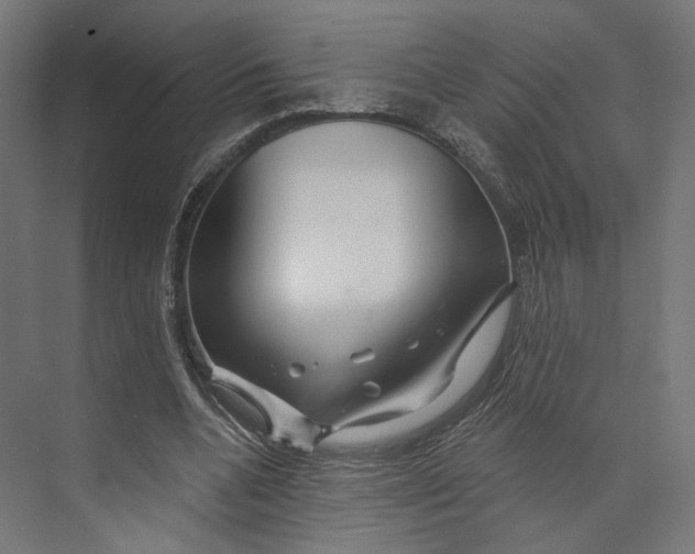 X0000073850536200609071609