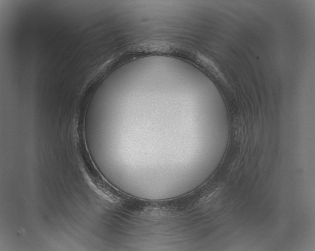 X0000073850538200609071609