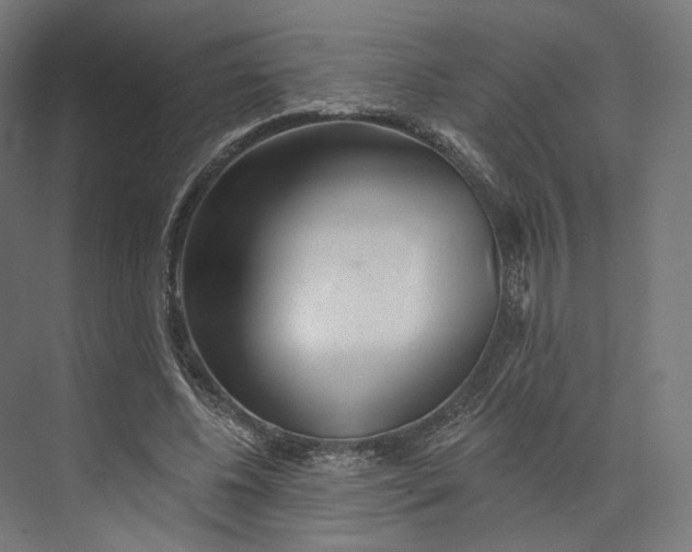 X0000073850540200609071609