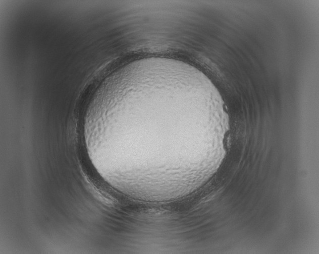 X0000073850542200609071610