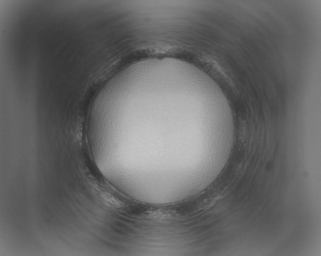 X0000073850545200609071610