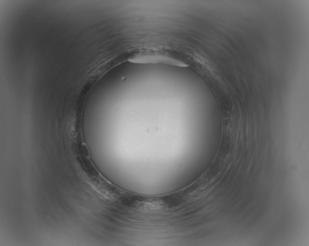 X0000073850548200609071610