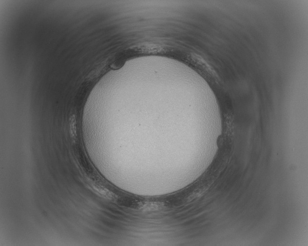 X0000073850549200609071610