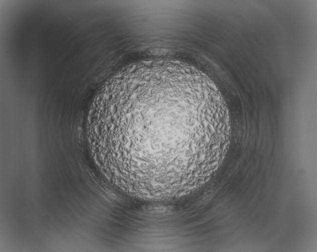 X0000073850553200609071610