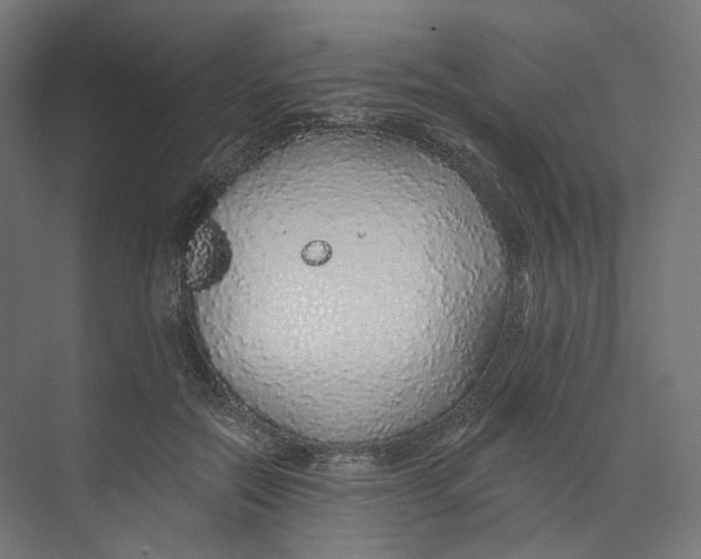 X0000073850554200609071610