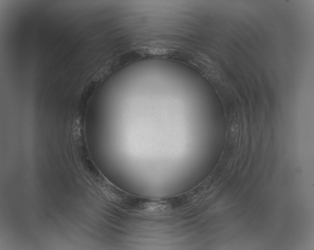 X0000073850555200609071610