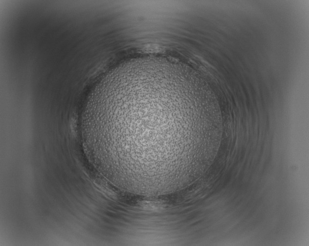 X0000073850556200609071610