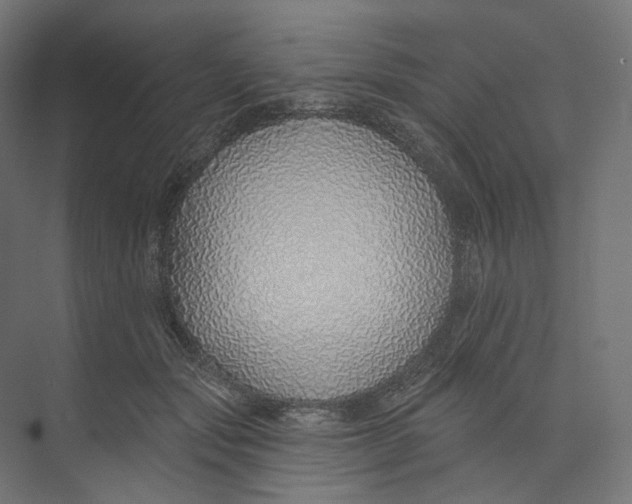 X0000073850557200609071610