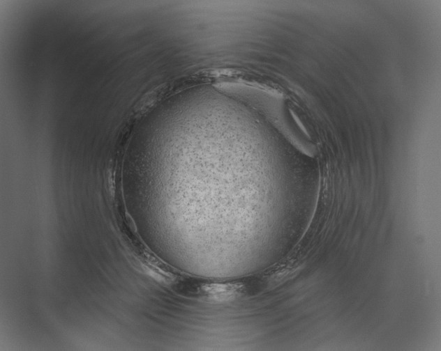 X0000073850558200609071610