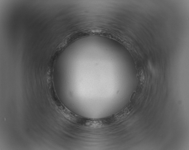 X0000073850559200609071610