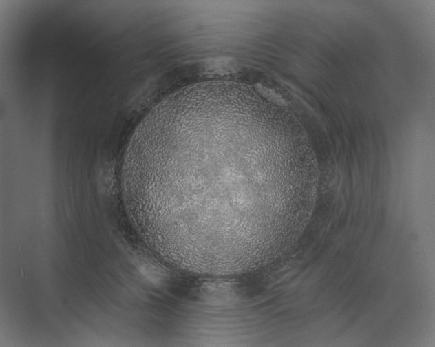 X0000073850560200609071610