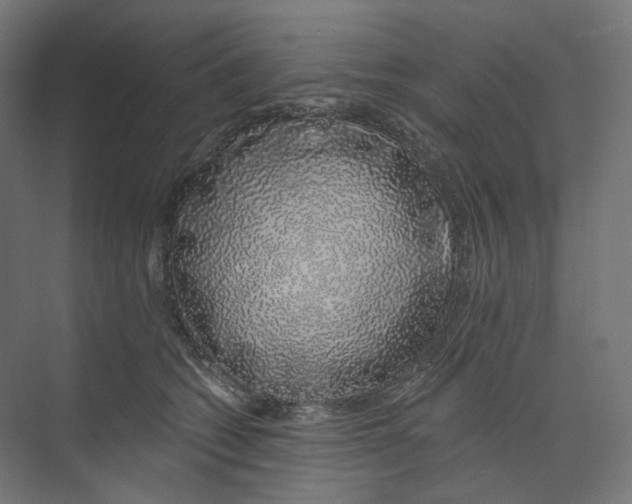 X0000073850562200609071610