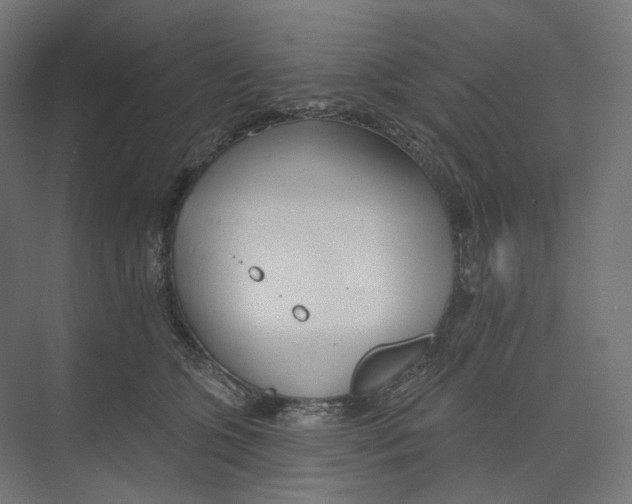 X0000073850563200609071610