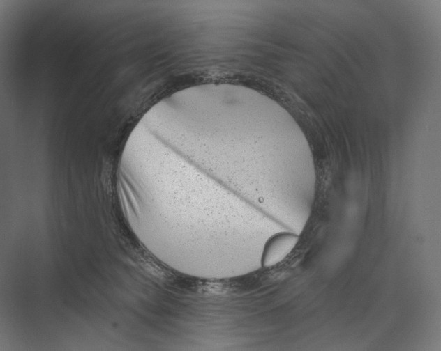 X0000073850565200609071610