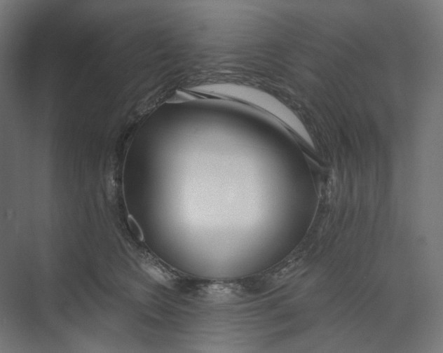 X0000073850566200609071610