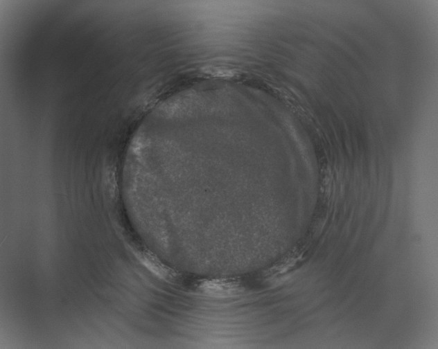 X0000073850568200609071610