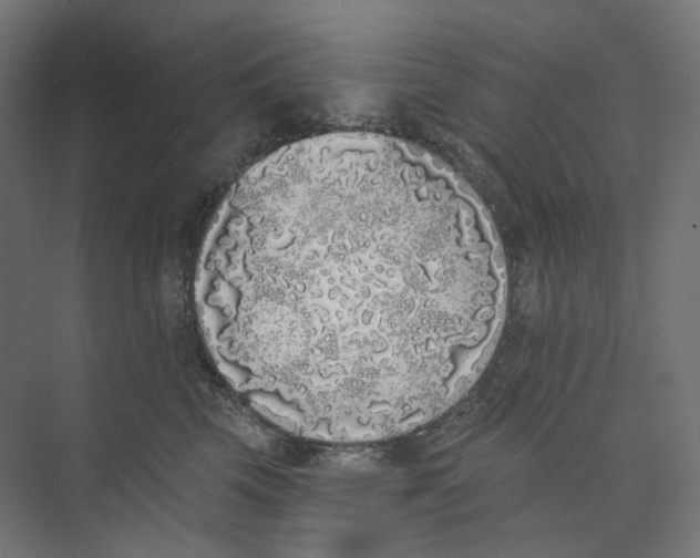 X0000073850569200609071610