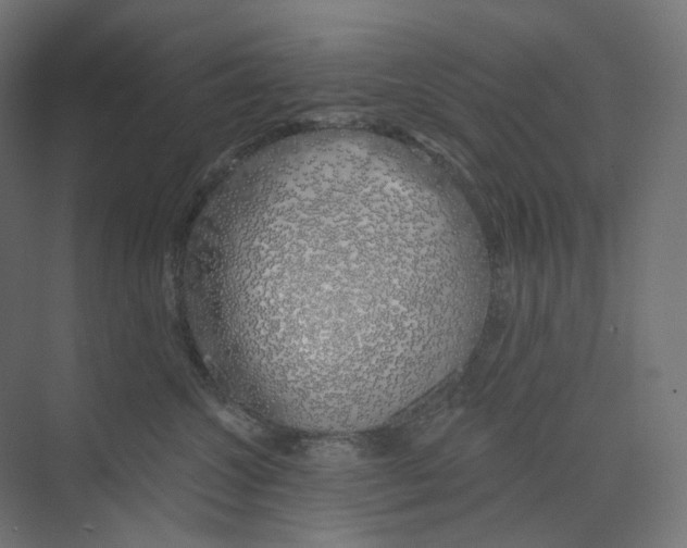 X0000073850572200609071610