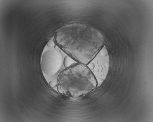 X0000073850573200609071610