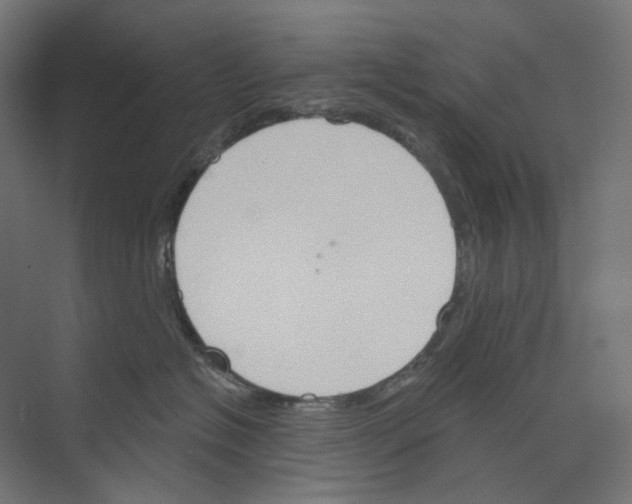 X0000073850574200609071610