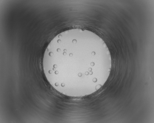 X0000073850575200609071610