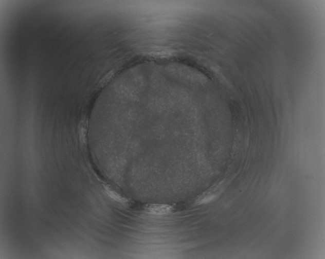 X0000073850576200609071610