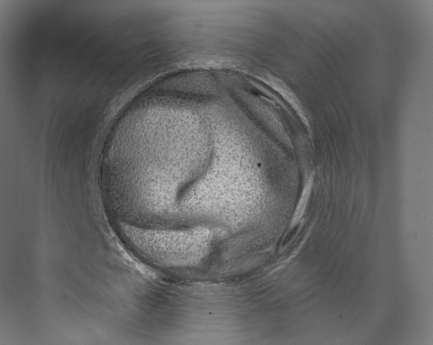 X0000073850577200609071609