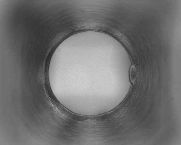 X0000073850578200609071609