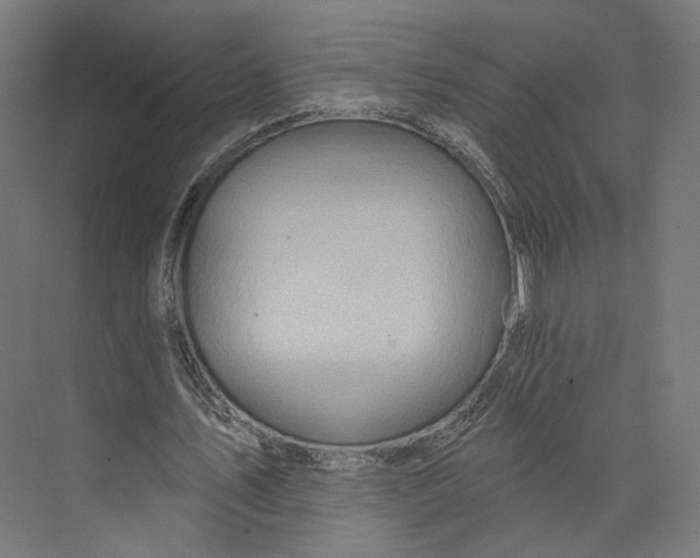 X0000073850579200609071609