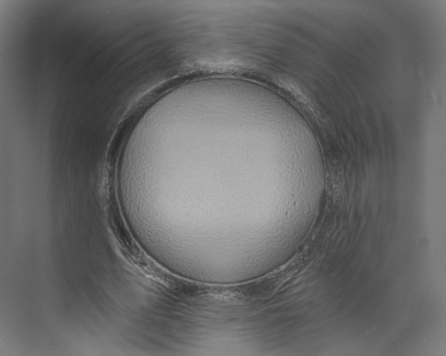 X0000073850583200609071609