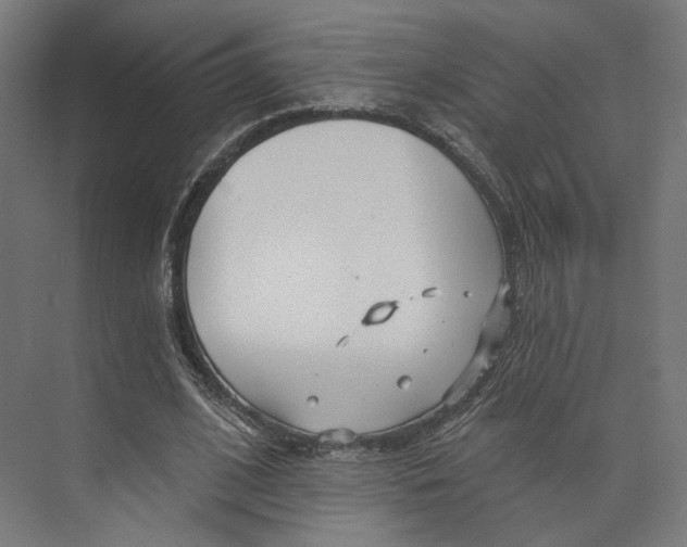 X0000073850584200609071609