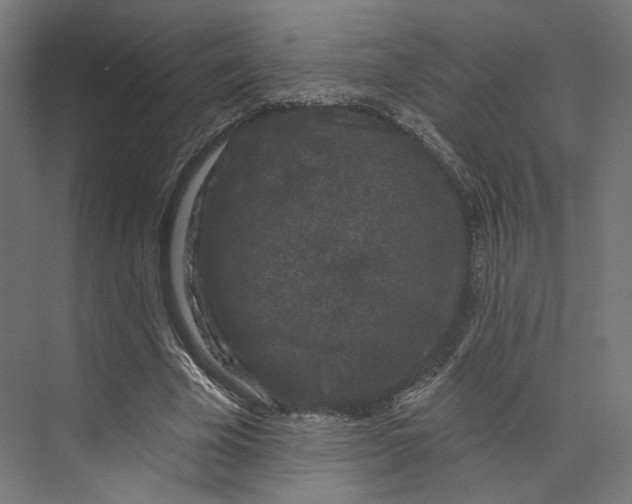 X0000073850585200609071609