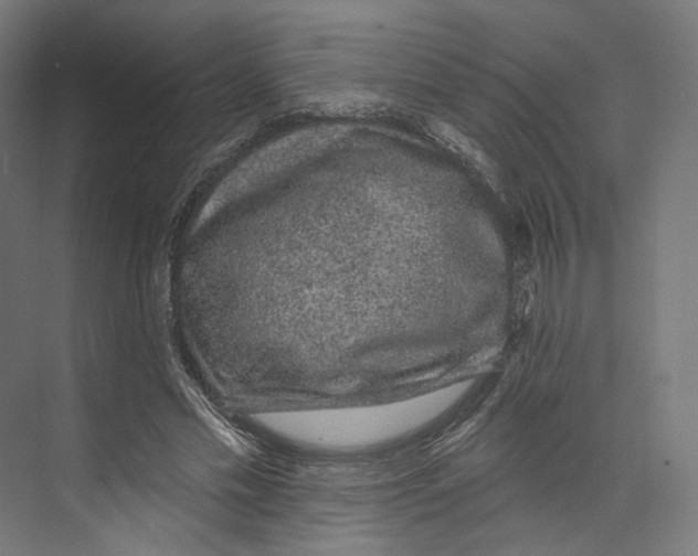 X0000073850589200609071609