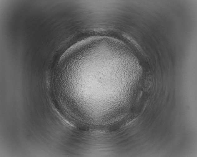 X0000073850593200609071609