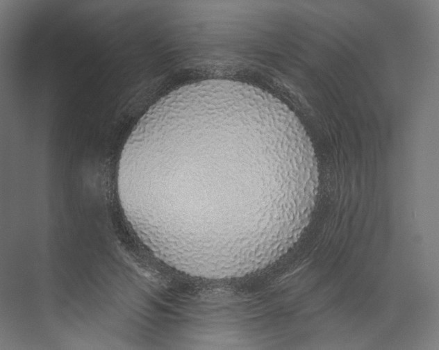 X0000073850594200609071609