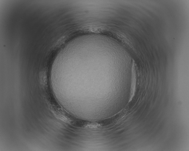 X0000073850595200609071609