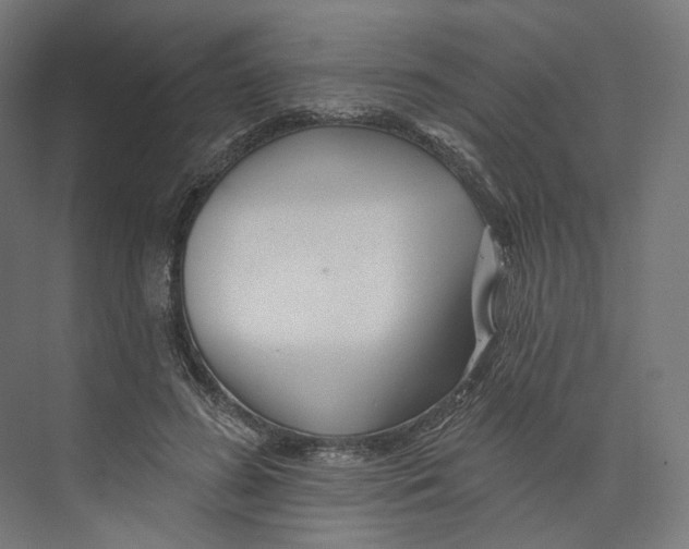 X0000073850596200609071609