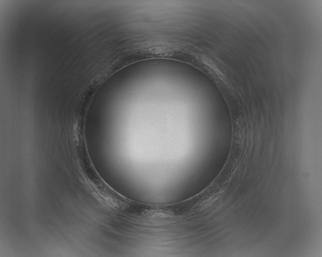 X0000073850597200609071609