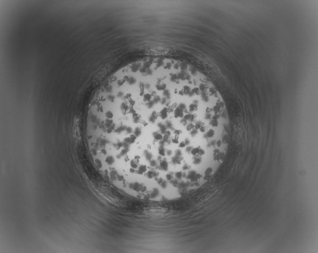 X0000073850598200609071609